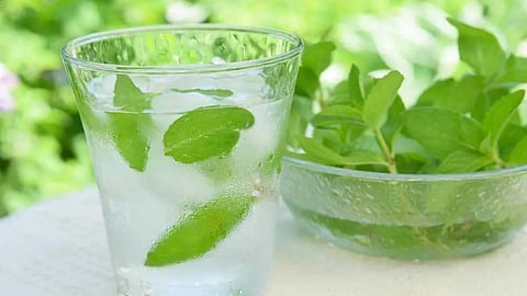उन्हाळ्यात रोज प्या पुदीन्याचे पाणी, आरोग्याला मिळतील जबरदस्त फायदे