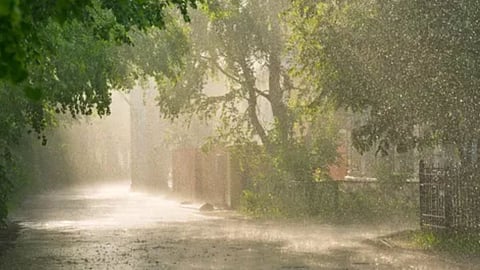 हवामान अंदाज
