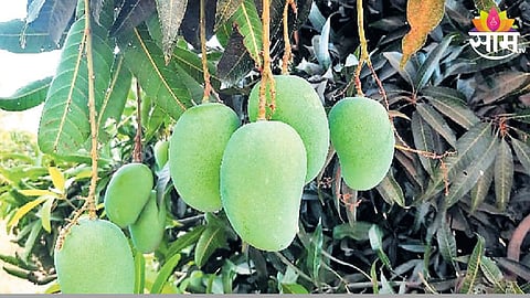 Farmer Success Story