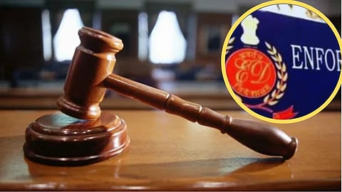 ईडीला कोर्टाने फटकारलं