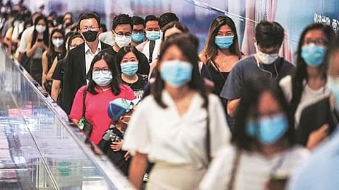 Singapore Coronavirus Cases