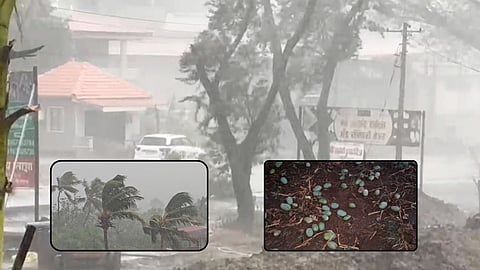 Maharashtra Weather Today: राज्याला आजही अवकाळीचा तडाखा; वादळीवाऱ्याने रायगडला झोडपलं, पाहा Video