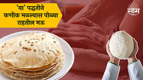 Chapati Making Tips: मऊ लुसलुशीत चपातीसाठी अशी मळा कणीक; दिवसभर पोळ्या राहतील मऊ