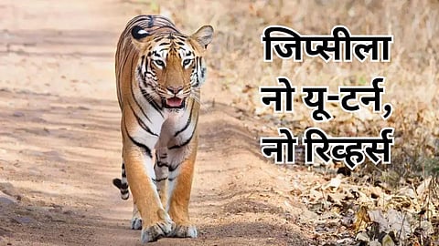 Tadoba Andhari Tiger Reserve New Rules