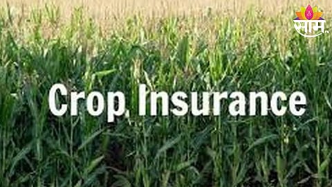 Crop Insurance