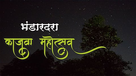 know the rules and regulation of fireflies festival bhandardara akole