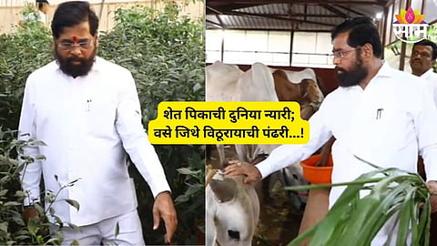 Eknath Shinde News: 'परदेशी कशाला जायाचं, गड्या आपला गाव बरा', दरे गावचा व्हिडिओ शेअर करत CM शिंदेंचा ठाकरेंना टोला?