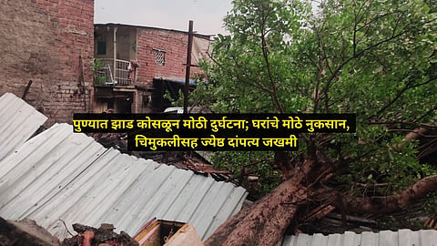 Pune Unseasonal Rain: अवकाळीच्या तडाख्याने भलेमोठे झाड कोसळले, ५ घरे जमीनदोस्त; चिमुकलीसह वृद्ध दांपत्य जखमी