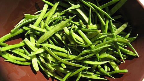 Cluster Beans Benefits: गवारची भाजी खाताना नाक मुरडताय? फायदे ऐकताच लगेच खाल
