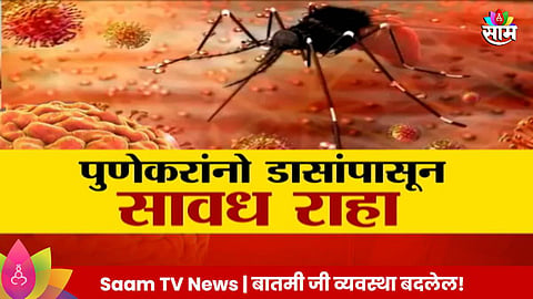 Pune Zika Virus: पुणेकरांनो काळजी घ्या! झिकाच्या रुग्णात झपाट्याने वाढ, रुग्णसंख्या ४८ वर