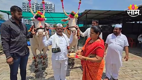 malekar bullock cart for sant tukaram maharaj palkhai sohala