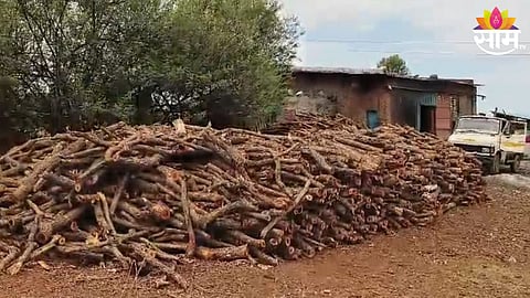 forest department charged 3 along with former president of jawhar municipal council