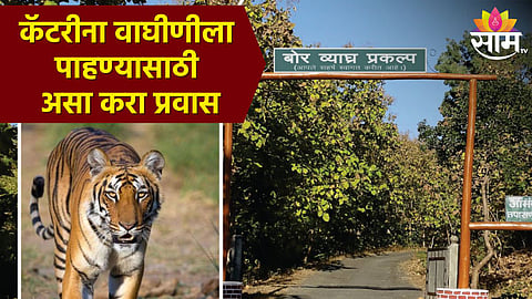 Bor Wildlife Sanctuary Tourist Places