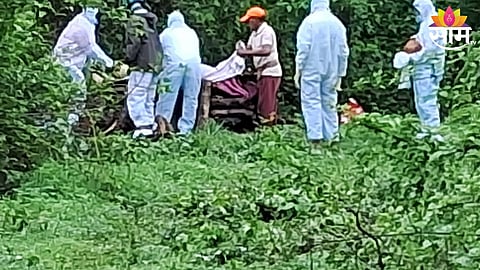 villagers seriously injured in honeybee attack near vaibhavwadi sindhudurg