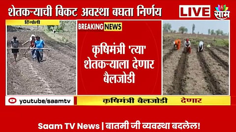 Saam Tv Impact Video: मुलाला औताला जुंपलेलं पाहून सरकार हळहळलं; साम टीव्हीच्या बातमीची मंत्रालयाने घेतली दखल, कृषिमंत्री देणार बैलजोडी