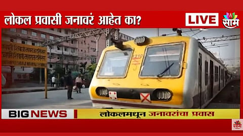 लोकल प्रवासी जनावरं आहेत काय? हायकोर्टानं रेल्वे प्रशासनाला फटकारलं; निर्लज्ज बाबूंना आतातरी जाग येणार का?