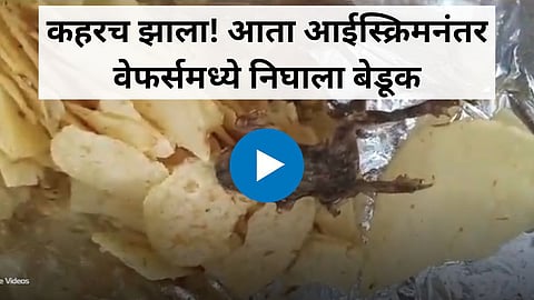 Shocking Viral Video