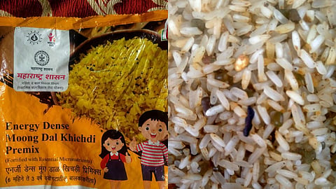 Pune News: धक्कादायक! मुलांच्या जीवाशी खेळ सुरू, पोषण आहारात आढळल्या आळ्या आणि उंदराची विष्ठा