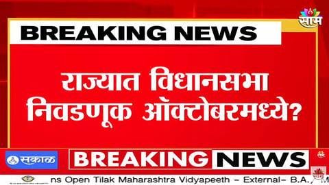 Maharashtra Assembly Election 2024