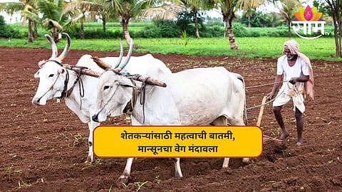Maharashtra Weather: शेतकऱ्यांसाठी महत्वाची बातमी, मौसमी वाऱ्यांचा वेग मंदावला; IMD कडून धडकी भरवणारी अपडेट