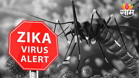 Zeeka Virus Symptoms, Treatment: जीवघेणा झिका व्हायरस आहे तरी काय? वाचा लक्षणे आणि उपाय