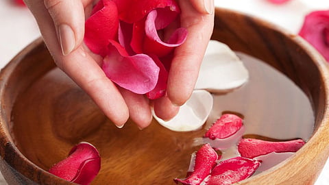 Rose Petals Benefits: विविध गुणांनी समृद्ध गुलाबाच्या पाकळ्या; केसांपासून त्वचेपर्यंत अनेक आजार होतील बरे