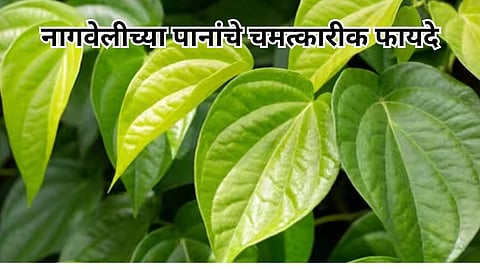 Health Tips