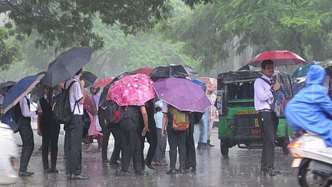 Raigad Rain: रायगडमध्ये जोर'धार'; शाळा,महाविद्यालयांना सुट्टी