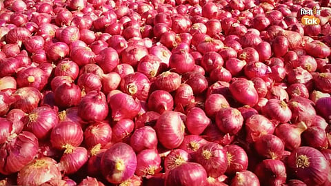 Onion Farmers: कांदा उत्पादकांसाठी सरकारचा मोठा निर्णय; नाशिक, संभाजीनगर, सोलापुरात उभारणार कांदा महाबँक