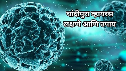 Chandipura Virus Symptoms: लहान मुलांसाठी धोकादायक असलेला चांदीपुरा व्हायरस आहे तरी काय? वाचा लक्षणे आणि उपाय
