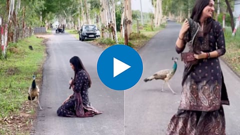 Girl Scared of the Peacock