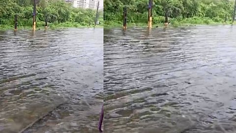 Mumbai Rain Viral Video