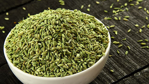 Fennel Seeds Benefits