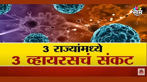 नागरिकांनो काळजी घ्या! 'निपाह', 'चांदीपुरा', 'झिका'चा कहर; 3 राज्यांमध्ये 3 व्हायरसचं संकट