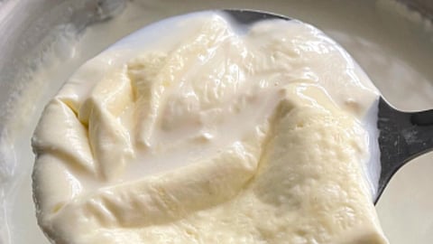 Thick Milk Malai