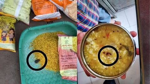Midday Meal Scheme: विद्यार्थ्यांच्या आरोग्याशी खेळ! मध्यान्ह भोजनात झुरळ तर पोषण आहारात बेडूक, राज्यात चाललंय तरी काय?; पाहा VIDEO
