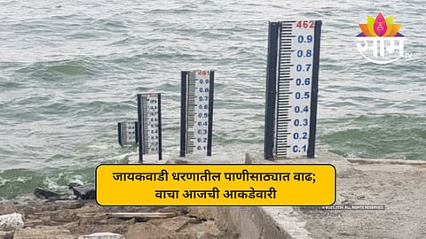 जायकवाडीच्या पाणीसाठ्यात मोठी वाढ; आता किती टक्के भरलं धरण? पाहा आजची आकडेवारी