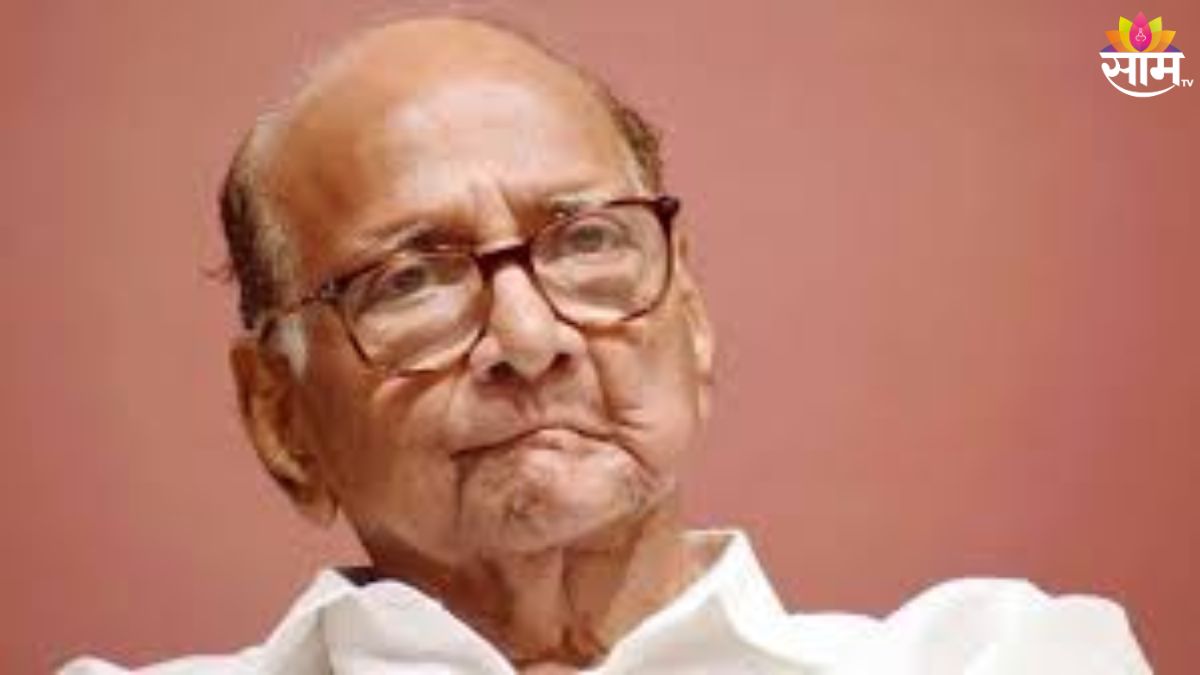 शरद पवार गट