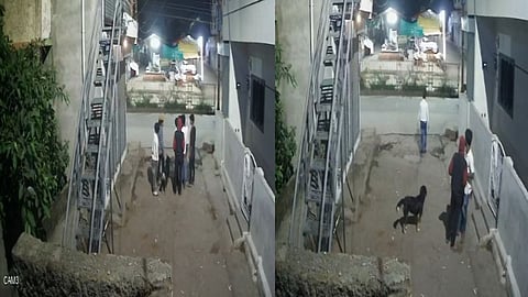Shirdi Koyata Gang