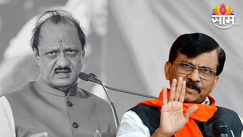'पिंक सरडा बारामती सोडणार', शरद पवारांसमोरच राऊतांचा अजितदादांवर घणाघात