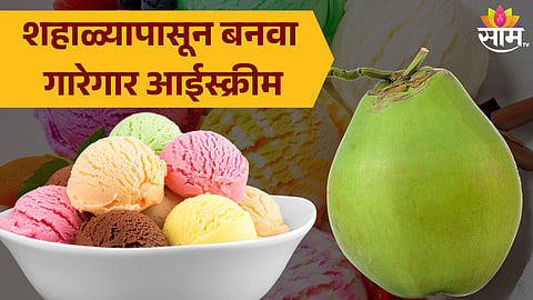 Coconut Ice Cream Recipe