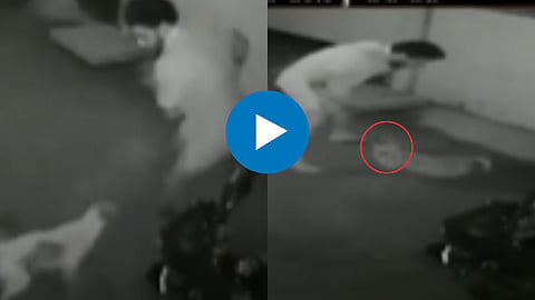 Shocking Viral Video