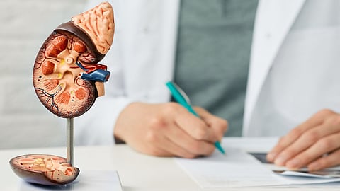 Healthy kidney tips