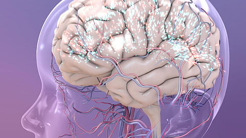 Brain Blockage Symptoms
