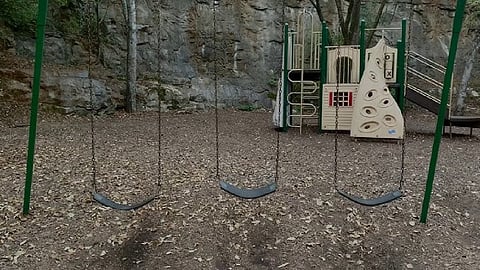 Haunted Park maple