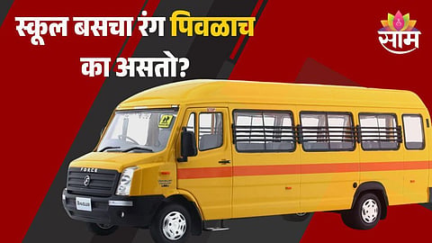 School Bus Colour