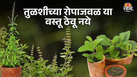 Vastu Tips