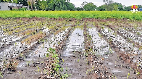 Latur News: हाता तोंडाशी आलेला घास पाण्यात गेला, ५५ वर्षीय शेतकऱ्याने मृत्यूला कवटाळलं; लातुरमधील दुर्दैवी घटना!