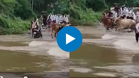 Viral Video