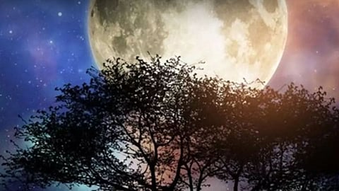 Sarva Pitru Amavasya Tips